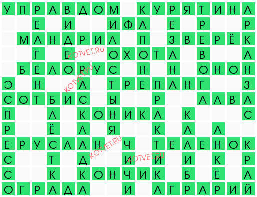 кроссворд 20384